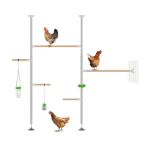 Biete deinen Hühnern Unterhaltung auf neuen Ebenen und mache mit dem Omlet PoleTree Hühnerstangensystem auch von der vertikalen Höhe in deinem Hühnergehege Gebrauch.