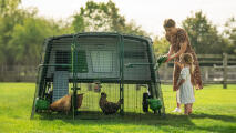 Mutter und tochter betrachten die hühner im Eglu pro coop