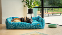 Deutscher schäferhund in einem blauen nest hundebett in einem modernen wohnraum liegend