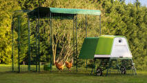 Eglu Go up verbunden mit einem walk-in-run