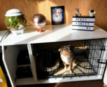 Ein kleiner bunter hund in einem Fido Studio käfig mit angebautem kleiderschrank und ornamenten oben drauf