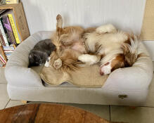 Super cosy in seinem bett 