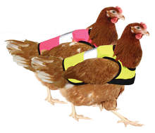 Doppelpack Warnweste für Hühner - Pink und Gelb