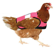 Warnweste für Hühner - Pink