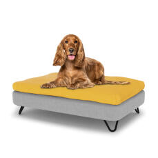 Hund sitzt auf einem mittelgroßen Topology hundebett mit sitzsack-topper und schwarzen metall-haarnadelfüßen