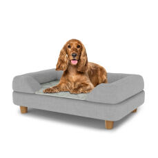 Hund sitzend auf einem mittelgroßen Topology hundebett mit grauem nackenrollen-topper und runden holzfüßen