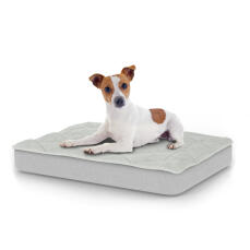 Hund sitzt auf kleinem Topology hundebett mit gestepptem topper
