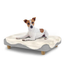 Hund sitzt auf einem kleinen Topology hundebett mit schafsfellauflage und runden holzfüßen