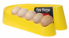 Gelbe-ei-rampe