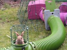 Ein kaninchen, das seinen kopf aus seinem aussichtsturm in seinem grünen tunnel hervorstreckt