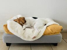 Ein kleiner hund, der friedlich auf seinem schaffell und seinen sitzsäcken schläft, auf einem grauen bett