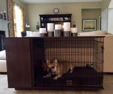 Bosswell der hund in einem walnussholz Fido Studio mit einem kleiderschrank in einem wohnzimmer befestigt
