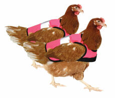 Doppelpack rosa warnwesten für hühner