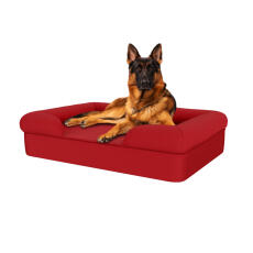 Hund sitzend auf merlot rotem großen memory foam nackenrolle hundebett