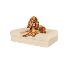 Hund sitzt auf mittelgroßem beigefarbenem memory-schaumstoff-hundebett
