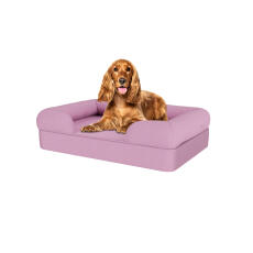 Hund sitzend auf lavendel-fliederfarbenem mittelgroßem memory-schaumstoff-hundebett