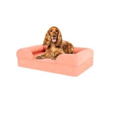 Hund sitzt auf mittelgroßen pfirsich rosa memory foam nackenrolle hundebett