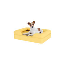 Hund sitzend auf kleinem mellow yellow memory foam bolster hundebett