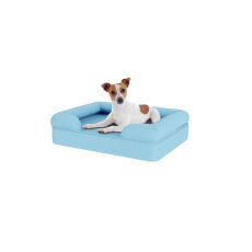Hund sitzend auf kleinem himmelblauen memory foam nackenrolle hundebett