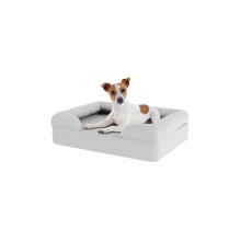 Hund sitzend auf kleinem steingrauem memory foam nackenrolle hundebett
