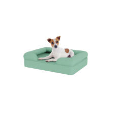 Hund sitzend auf kleinem teal blauen memory foam nackenrolle hundebett