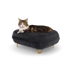 Katze sitzt auf Maya donut katzenbett in earl grey mit Gold haarnadelfüßen