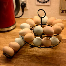 Eier auf schwarzem Omlet egg skelter