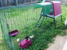 Ein rosafarbener hühnerstall mit einem 2 meter langen auslauf in einem garten