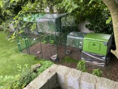 Freilauf 2x3m mit Cover