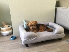Ein hund auf seinem grauen nackenrollenbett