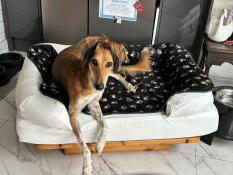 Jäger liebt es auch!!