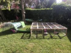 Zu gut im garten 