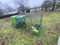 Ein großer grüner Cube hühnerstall mit einer abdeckung, einem auslauf und hühnern darin