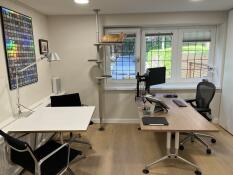 Katzenfreundliches büro!