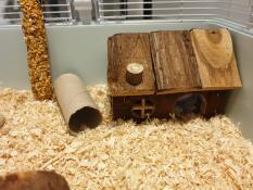 Ein kleines holzhaus in einem hamsterkäfig mit sägemehl auf dem boden