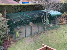 Ein großer begehbarer auslauf in einem garten für hühner