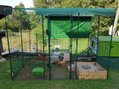 Ein großer begehbarer auslauf für hühner mit einem großen grünen Eglu Cube und hühnern darin