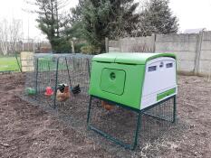 Ein großer grüner Cube hühnerstall mit angeschlossenem auslauf und hühnern darin