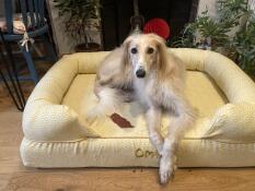 Lucy entspannt sich in ihrem neuen bett