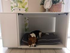 Hund schläft in Omlet Fido Nook