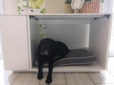 Hund liegt in Omlet Fido Nook