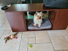 Ein hund in einem Fido Studio saß auf einem grauen hundebett