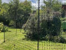 Ein hühnerzaun, der büsche in einem garten umgibt