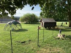 Ein hölzerner hühnerstall hinter einem hühnergehege mit einer Geodesic-dome-struktur daneben