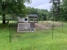 Umzäunung eines hühnerstalls und eines stalls auf einer wiese