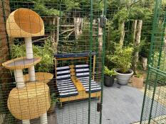 Ein catio mit stühlen und viel katzenzubehör