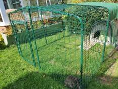 Einlauflauf 2x2x1