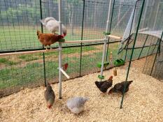 Chickie-spielplatz!