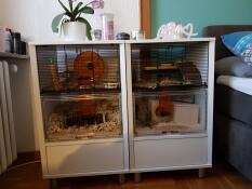 So ein tolles Gehe.2x Qute für unseren Hamster verbunden