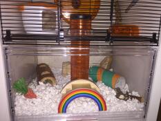 Die untere hälfte eines Qute hamster- und wüstenrennmauskäfigs mit viel spielzeug und zubehör zum spielen